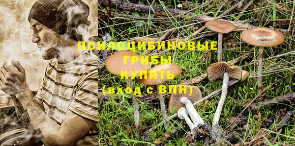 марки lsd Ростов