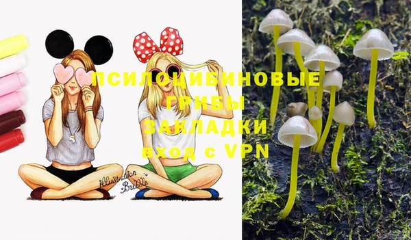 мяу мяу мука Абинск
