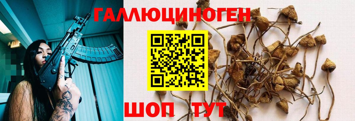 Псилоцибиновые грибы Magic Shrooms Майский
